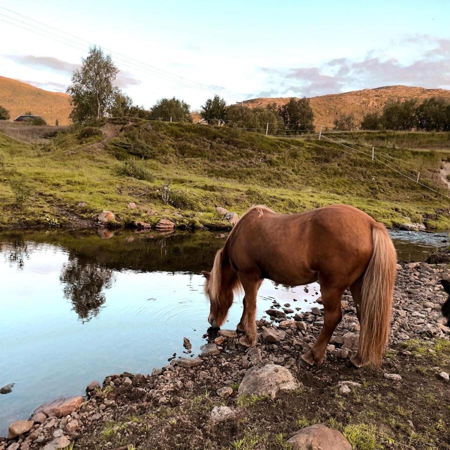 Storjord Farmstay Ranchhouse Kvaloya Екстер'єр фото