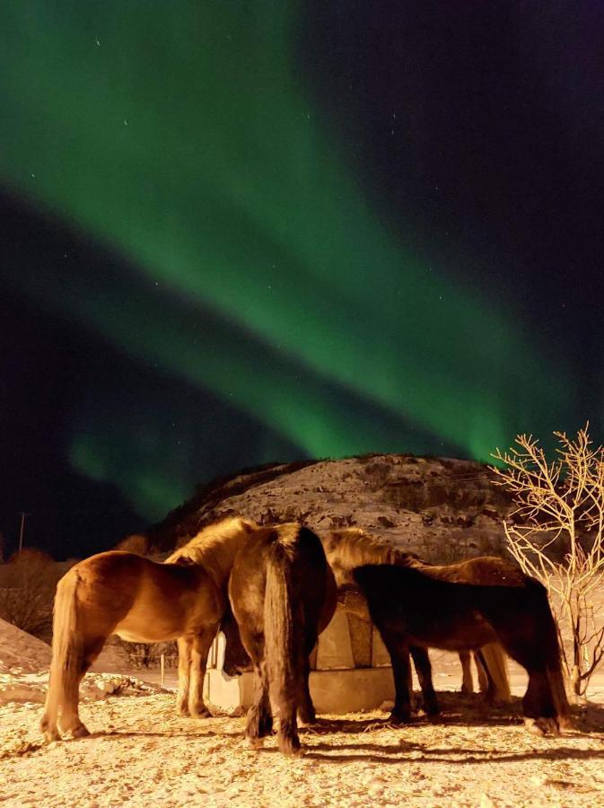 Storjord Farmstay Ranchhouse Kvaloya Екстер'єр фото