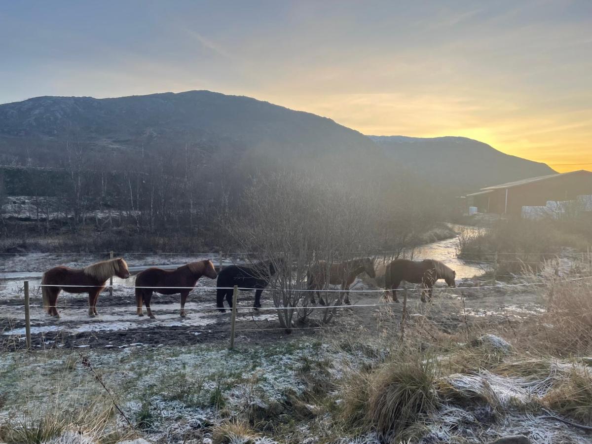 Storjord Farmstay Ranchhouse Kvaloya Екстер'єр фото